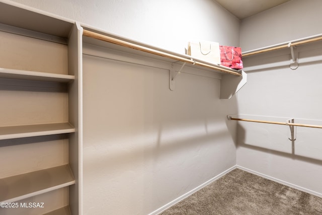 walk in closet featuring carpet