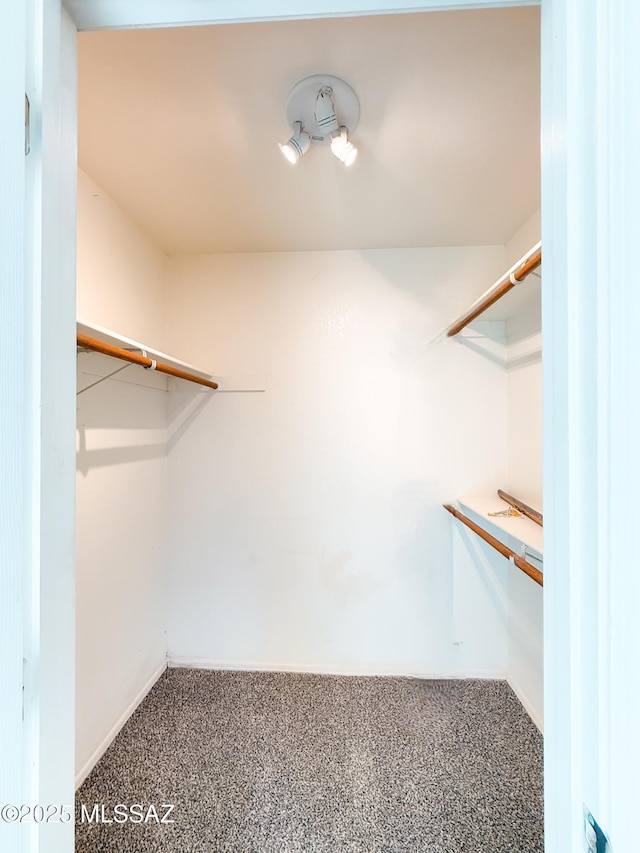 walk in closet with carpet flooring