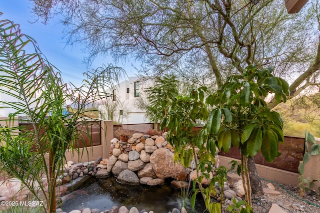 view of yard with a small pond