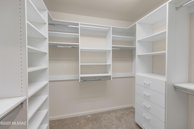 walk in closet with light carpet