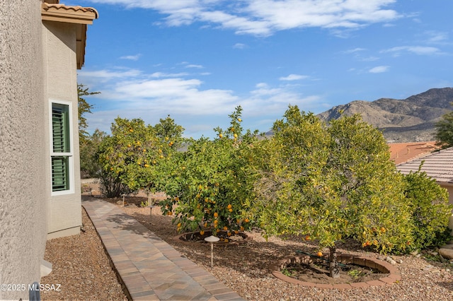 view of yard featuring a mountain view