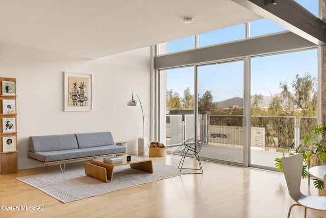 living room with a mountain view and light hardwood / wood-style flooring