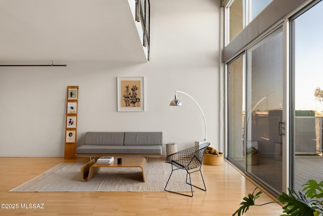 living room featuring light wood-type flooring and a healthy amount of sunlight