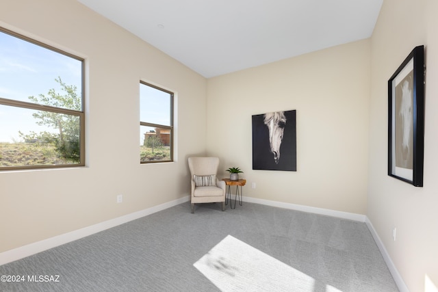 living area featuring carpet flooring