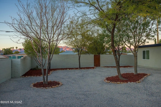 view of yard at dusk