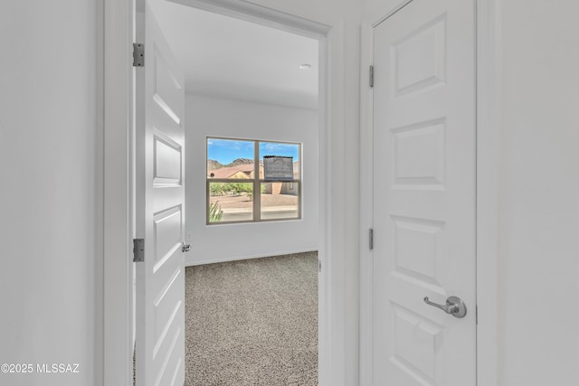 hallway featuring carpet floors