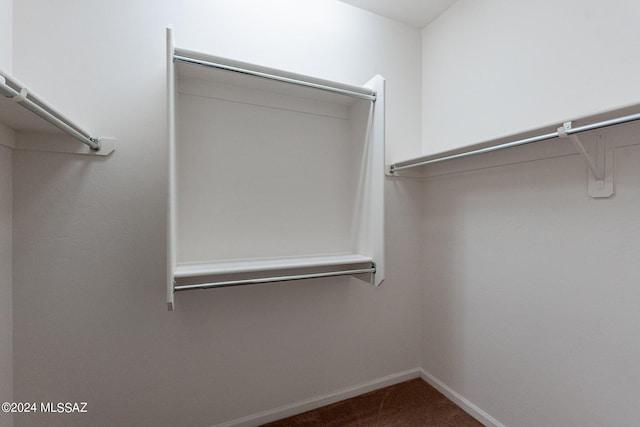 walk in closet featuring carpet floors