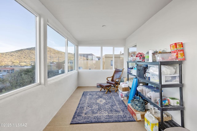 view of sunroom