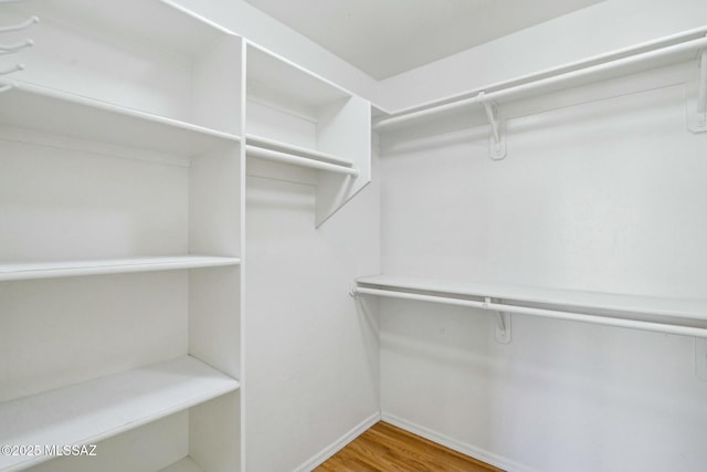 spacious closet with hardwood / wood-style flooring