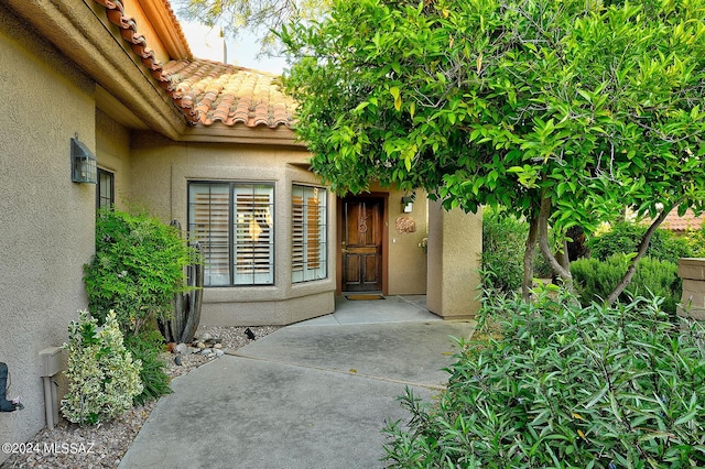 view of entrance to property