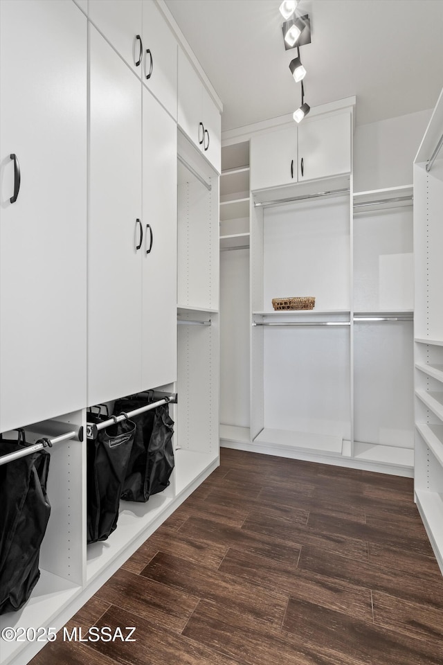 spacious closet with dark wood-type flooring