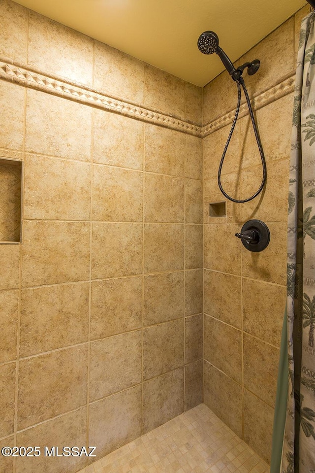 bathroom featuring a shower with shower curtain