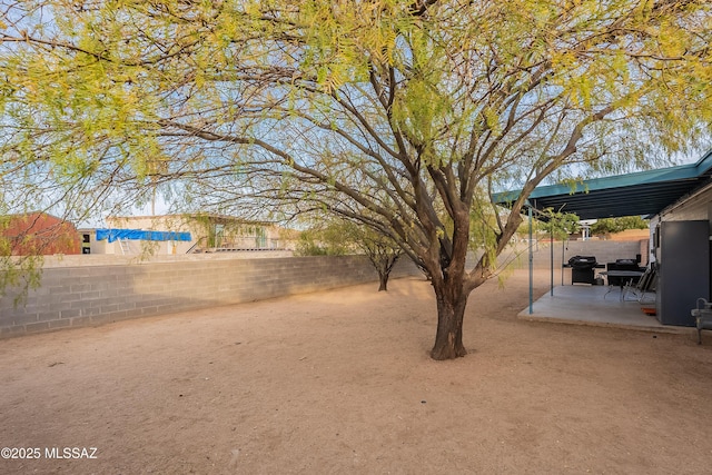 view of yard featuring a patio