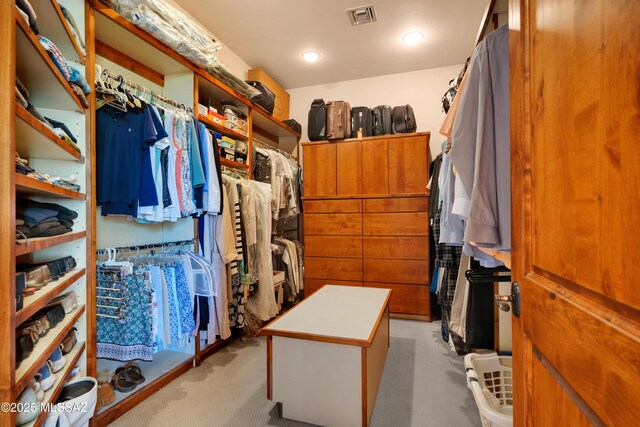 spacious closet with light carpet