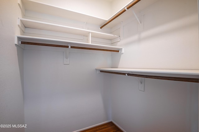 spacious closet with dark hardwood / wood-style flooring