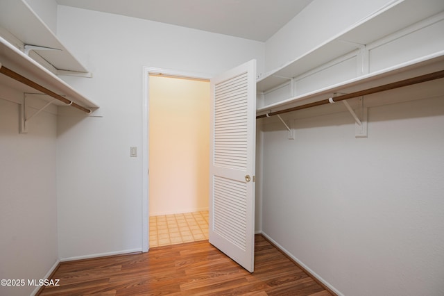 walk in closet featuring hardwood / wood-style flooring