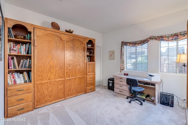 view of carpeted office