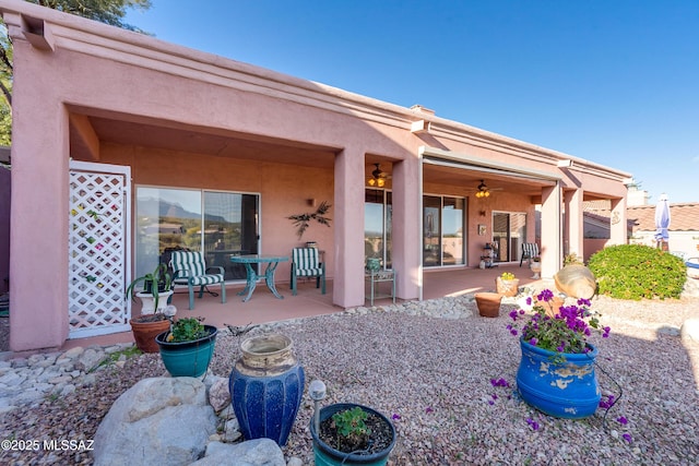 rear view of house featuring a patio and ceiling fan