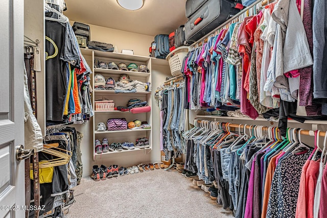 spacious closet with carpet floors