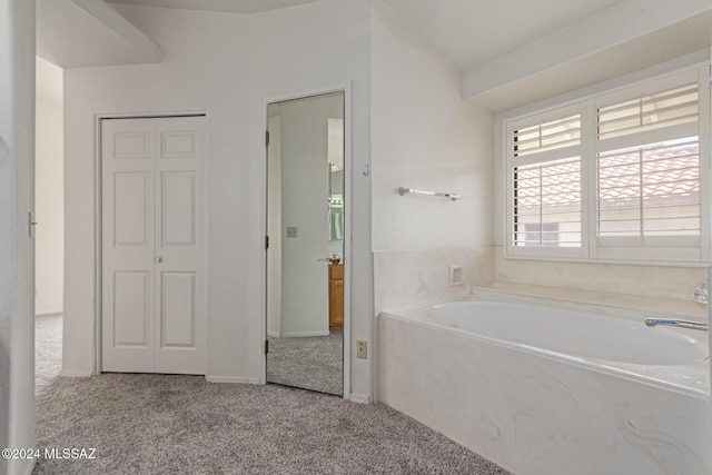 bathroom with a bathtub