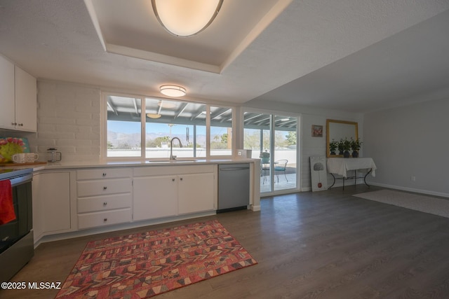 kitchen featuring sink, white cabinetry, dark hardwood / wood-style flooring, a tray ceiling, and appliances with stainless steel finishes