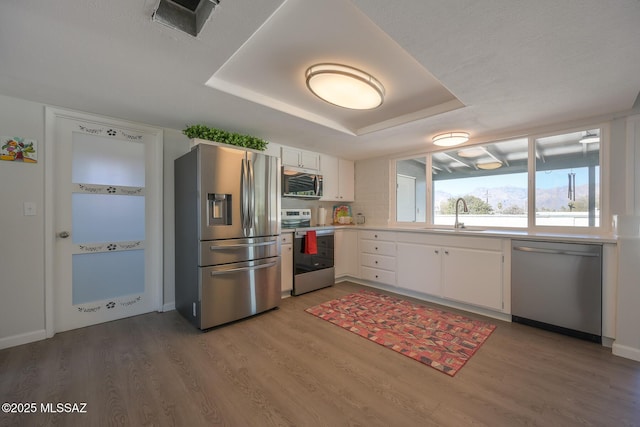 kitchen with hardwood / wood-style floors, appliances with stainless steel finishes, a tray ceiling, sink, and white cabinetry