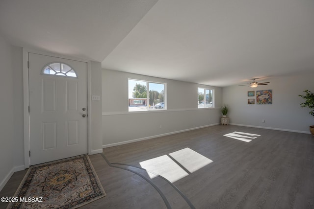 foyer entrance featuring ceiling fan and dark wood-type flooring