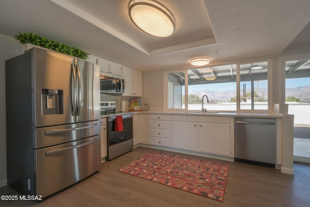 kitchen with light hardwood / wood-style flooring, a raised ceiling, white cabinetry, appliances with stainless steel finishes, and sink