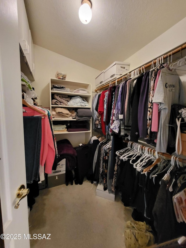 walk in closet with carpet flooring