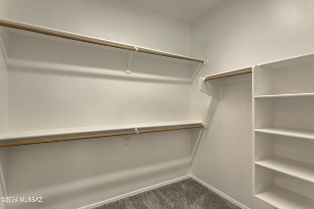 spacious closet with dark colored carpet