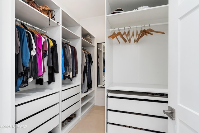 view of walk in closet