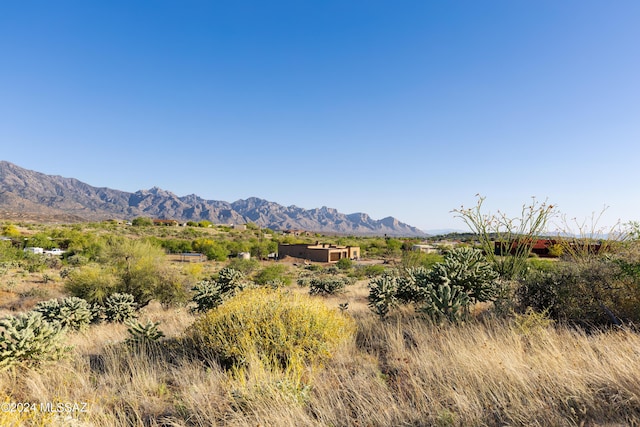 0 E Conrow Ct Unit 3, Saddlebrooke AZ, 85739 land for sale