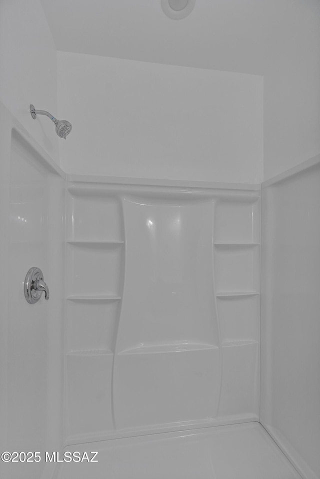 interior details featuring walk in shower