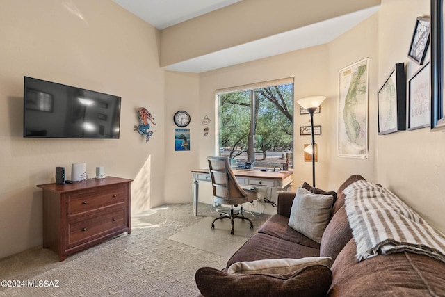 office space featuring light colored carpet