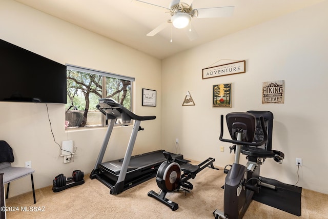 workout area featuring carpet flooring and ceiling fan