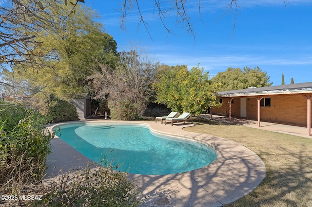 view of swimming pool with a patio area