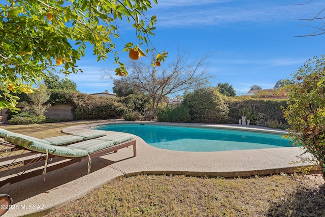 outdoor pool with a patio area