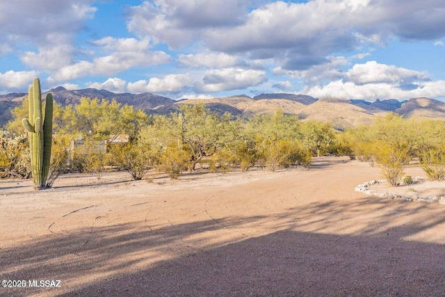 view of mountain feature