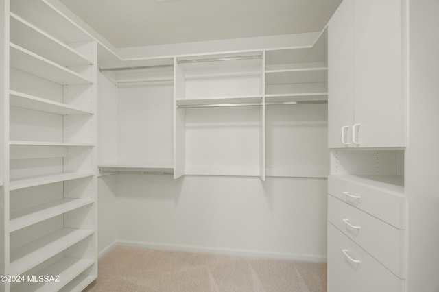 spacious closet with light carpet