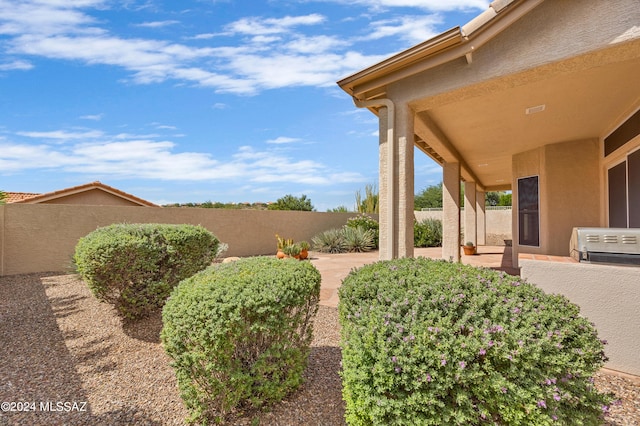 view of yard featuring a patio area