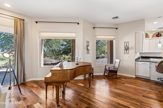 misc room with a wealth of natural light, dark wood-type flooring, and sink