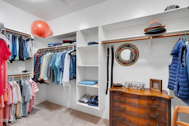 walk in closet with light colored carpet