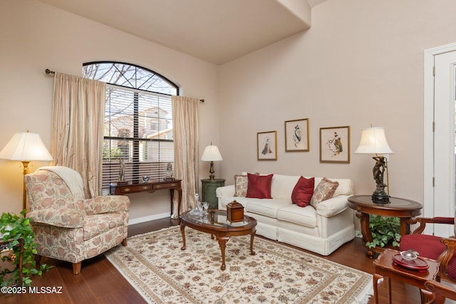 living room featuring wood-type flooring