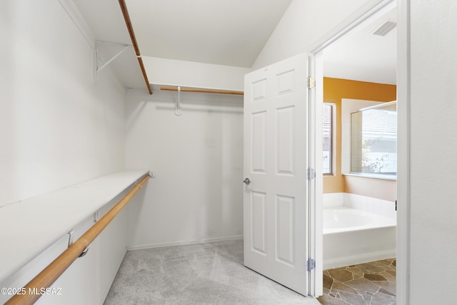 10187 E Watson Dr, Tucson, AZ 85730 - spacious closet featuring light colored carpet
