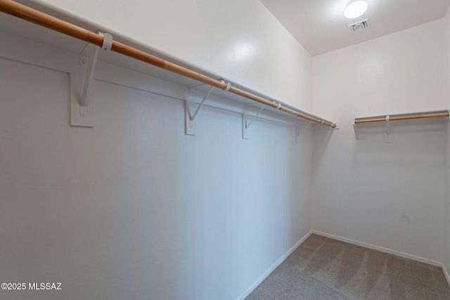 spacious closet featuring carpet flooring