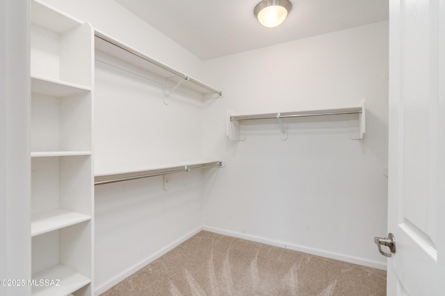 spacious closet featuring light colored carpet