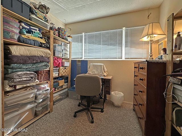 office space with a textured ceiling and carpet floors