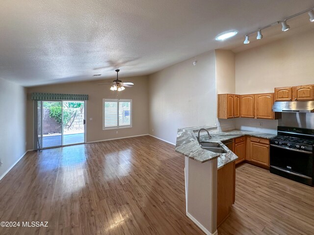 kitchen with kitchen peninsula, decorative backsplash, black gas stove, and hardwood / wood-style flooring