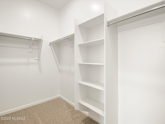 spacious closet with carpet