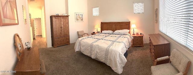 carpeted bedroom featuring multiple windows